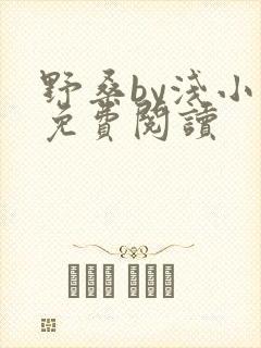 野桑by浅小说免费阅读