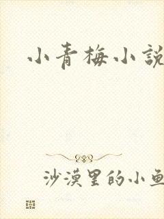 小青梅小说