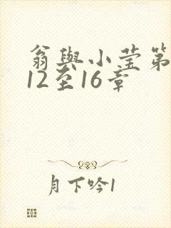 翁与小莹第十部12至16章