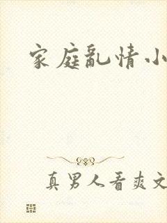 家庭乱情小说封面