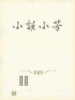小说小芳