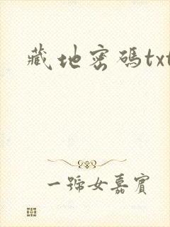 藏地密码txt封面