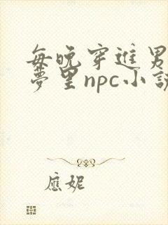 每晚穿进男神的梦里npc小说