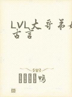 LVL大哥弟媳古言