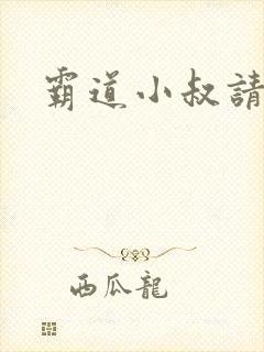 霸道小叔请轻撩