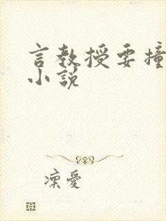 言教授要撞坏了小说