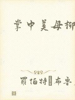 掌中美母柳玉茹封面