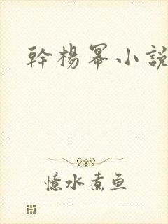干杨幂小说