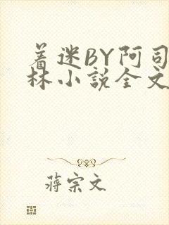 着迷BY阿司匹林小说全文免费阅读