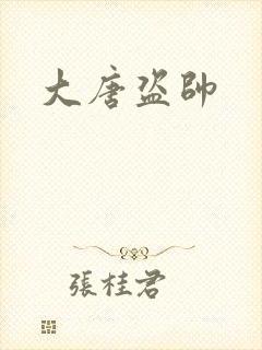 大唐盗帅