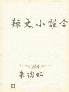 辣文小说合集