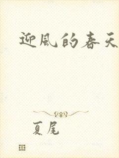 迎风的春天封面