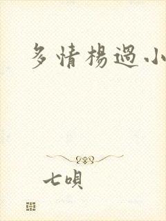 多情杨过小说封面
