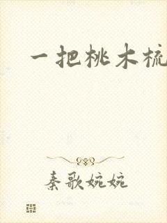 一把桃木梳封面