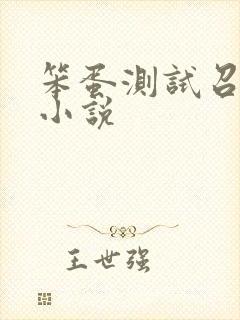 笨蛋测试召唤兽小说封面