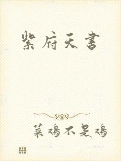 紫府天书