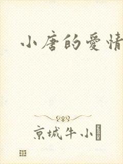 小唐的爱情史