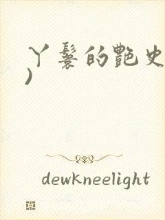 丫鬟的艳史(H)封面