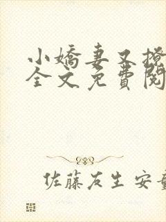 小娇妻又撩又甜全文免费阅读
