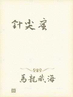 针尖蜜封面