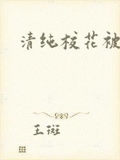 清纯校花被封面