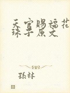 天官赐福花怜塞珠子原文封面