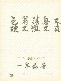 色翁荡息又大又硬又粗又爽