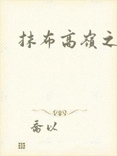 抹布高岭之花封面
