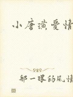 小唐璜爱情历史