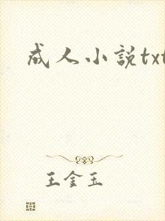 成人小说txt