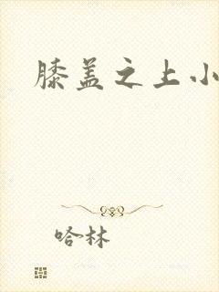 膝盖之上小说