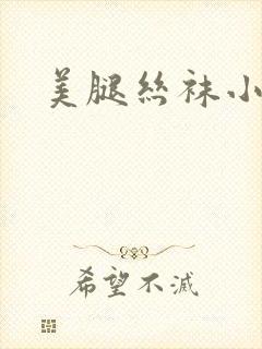 美腿丝袜小说