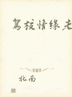 驾校情缘老赵