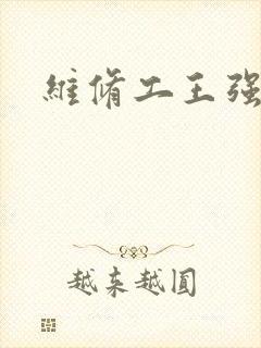 维修工王强张婷封面