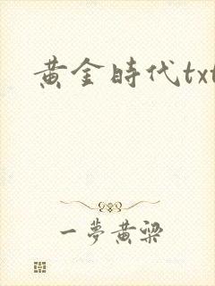 黄金时代txt封面