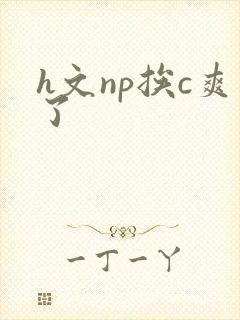 h文np挨c爽了