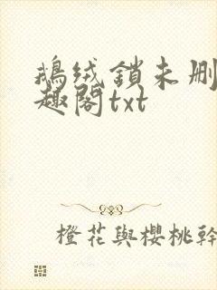 鹅绒锁未删除笔趣阁txt