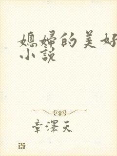 媳妇的美好时代小说