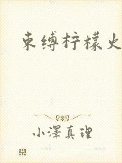 束缚柠檬火焰