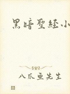 黑暗圣经小说