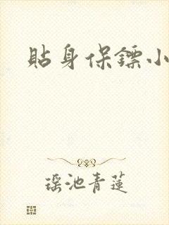 贴身保镖小说