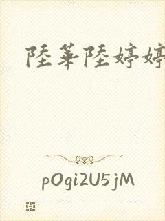 陆华陆婷婷封面