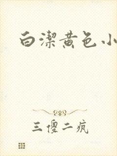 白洁黄色小说