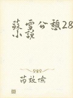 苏雪公憩28篇小说封面