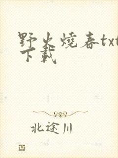 野火烧春txt下载