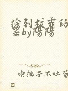 捡到校霸的遥控器by阳阳
