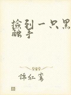 捡到一只黑心小触手