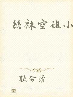 丝袜空姐小说