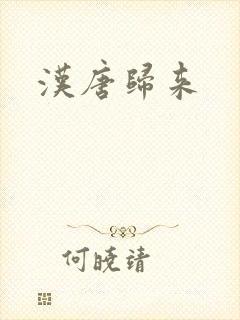 汉唐归来
