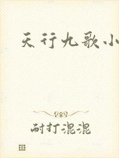 天行九歌小说